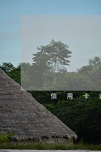 信用卡逾期会联系公安局吗 信用卡逾期会联系公安局吗