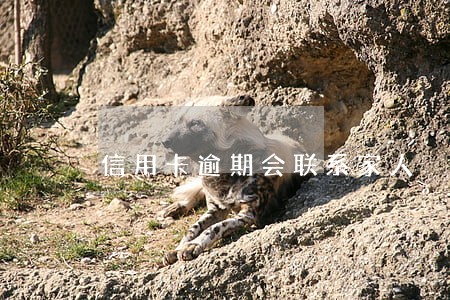 信用卡逾期会联系家人 信用卡逾期会联系家人