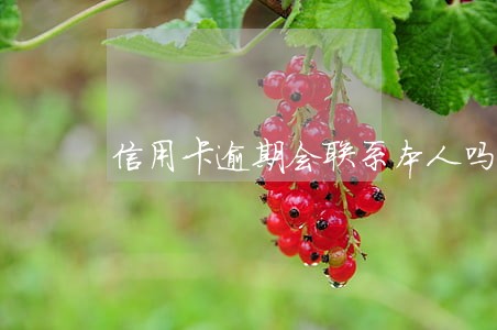 信用卡逾期会联系本人吗
