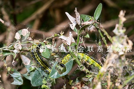 信用卡逾期会联系直系亲属 信用卡逾期会联系直系亲属