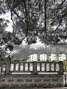 信用卡逾期会自动停止利息吗 信用卡逾期会自动停止利息吗