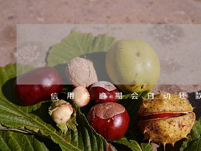 信用卡逾期会自动还款吗 信用卡逾期会自动还款吗