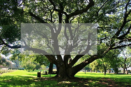 信用卡逾期会行政拘留吗 信用卡逾期会行政拘留吗