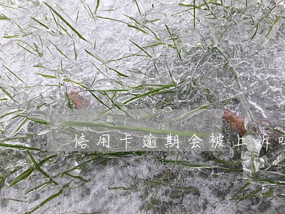 信用卡逾期会被上诉吗 信用卡逾期会被上诉吗