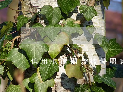 信用卡逾期会被停职嘛
