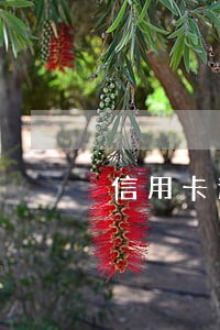 信用卡逾期会被催账骚扰 信用卡逾期会被催账骚扰