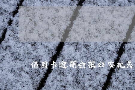 信用卡逾期会被公安机关逮捕吗