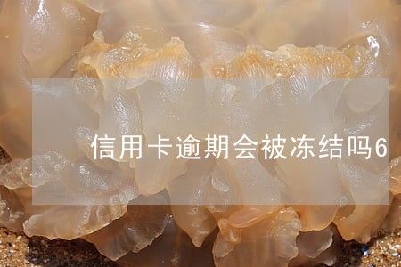信用卡逾期会被冻结吗6 信用卡逾期会被冻结吗6