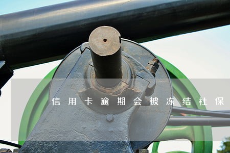 信用卡逾期会被冻结社保吗