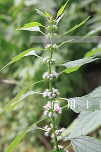 信用卡逾期会被冻结银行卡