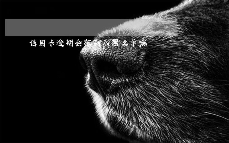 信用卡逾期会被列入黑名单嘛 信用卡逾期会被列入黑名单嘛