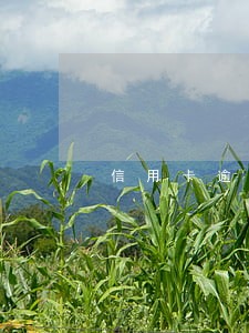 信用卡逾期会被判什么罪 信用卡逾期会被判什么罪