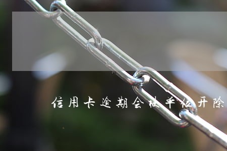 信用卡逾期会被单位开除吗