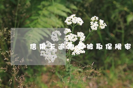 信用卡逾期会被取保候审吗 信用卡逾期会被取保候审吗
