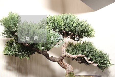 信用卡逾期会被取消 信用卡逾期会被取消