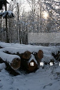 信用卡逾期会被吊销