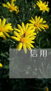 信用卡逾期会被强制划扣储蓄卡吗
