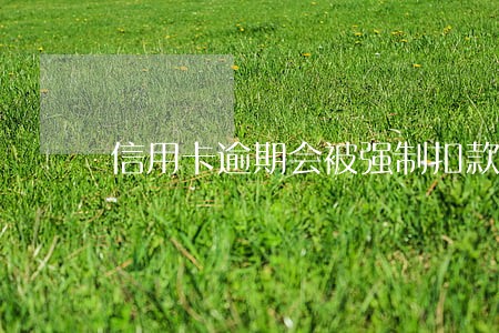 信用卡逾期会被强制扣款吗 信用卡逾期会被强制扣款吗