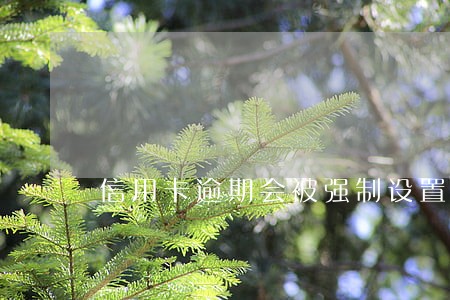 信用卡逾期会被强制设置彩铃吗 信用卡逾期会被强制设置彩铃吗