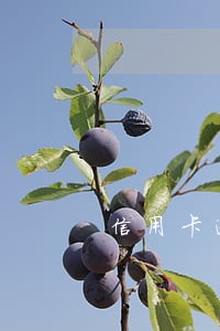 信用卡逾期会被恐吓威胁么 信用卡逾期会被恐吓威胁么