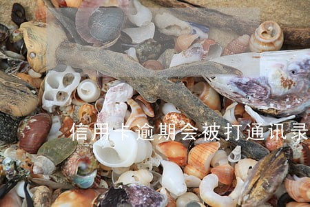 信用卡逾期会被打通讯录