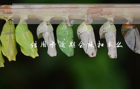 信用卡逾期会被扣车么 信用卡逾期会被扣车么