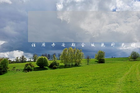 信用卡逾期会被执行失信人名单吗 信用卡逾期会被执行失信人名单吗