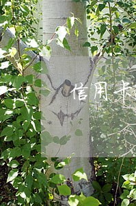 信用卡逾期会被抓不 信用卡逾期会被抓不