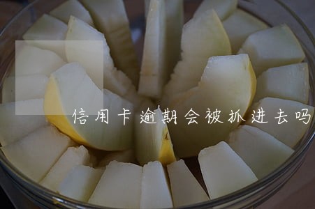 信用卡逾期会被抓进去吗