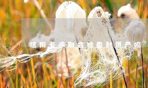 信用卡逾期会被查封资产吗 信用卡逾期会被查封资产吗