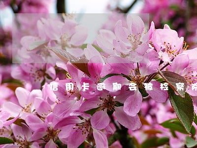 信用卡逾期会被检察院