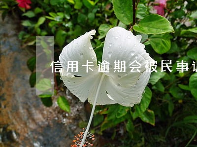 信用卡逾期会被民事诉讼拘留吗 信用卡逾期会被民事诉讼拘留吗