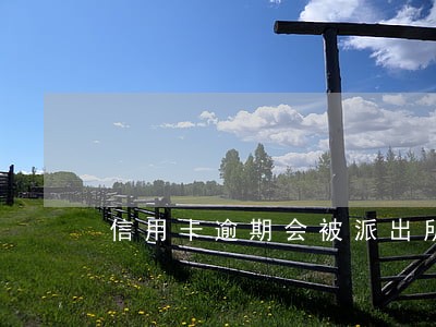 信用卡逾期会被派出所跨省抓人吗