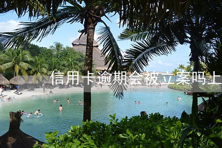 信用卡逾期会被立案吗上海 信用卡逾期会被立案吗上海
