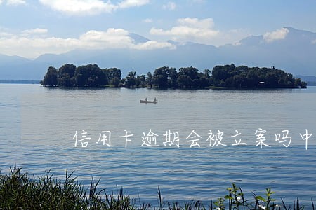 信用卡逾期会被立案吗中国 信用卡逾期会被立案吗中国