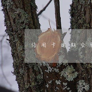 信用卡逾期会被算利息吗 信用卡逾期会被算利息吗