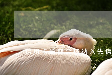 信用卡逾期会被纳入失信吗 信用卡逾期会被纳入失信吗