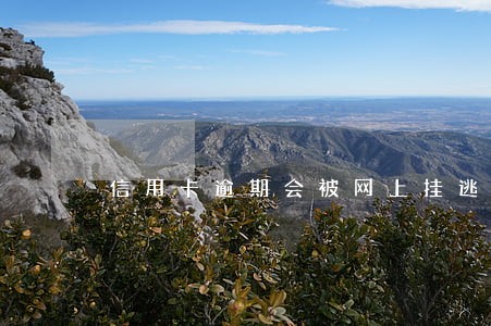 信用卡逾期会被网上挂逃吗 信用卡逾期会被网上挂逃吗