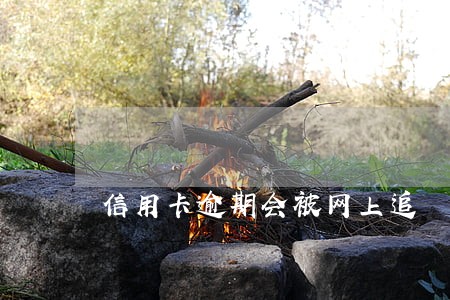 信用卡逾期会被网上追 信用卡逾期会被网上追