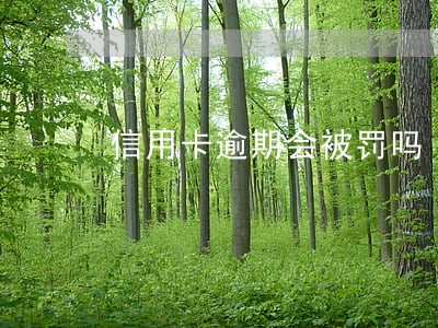 信用卡逾期会被罚吗 信用卡逾期会被罚吗