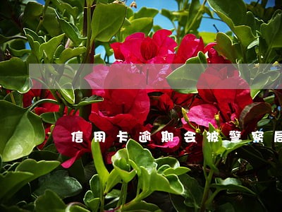 信用卡逾期会被警察局通缉吗 信用卡逾期会被警察局通缉吗
