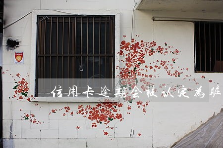 信用卡逾期会被认定为赃款吗