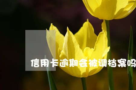 信用卡逾期会被调档案吗 信用卡逾期会被调档案吗