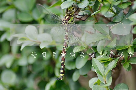 信用卡逾期会被资产保全吗