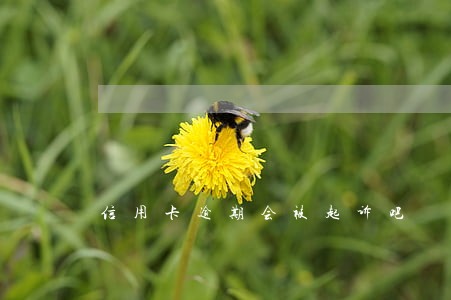 信用卡逾期会被起诉吧 信用卡逾期会被起诉吧