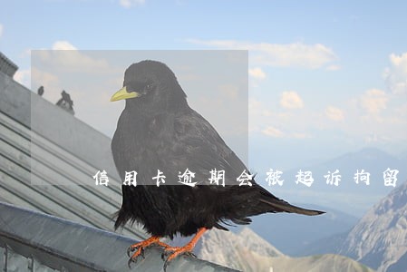 信用卡逾期会被起诉拘留人吗 信用卡逾期会被起诉拘留人吗