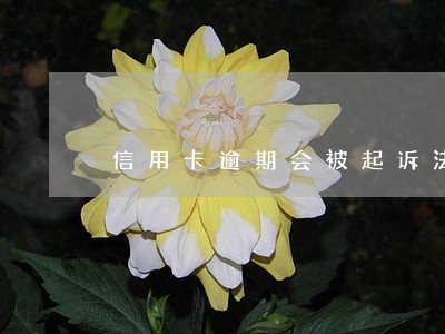 信用卡逾期会被起诉法院吗 信用卡逾期会被起诉法院吗