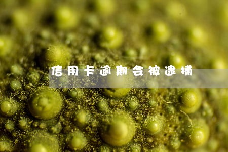 信用卡逾期会被逮捕