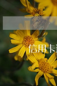 信用卡逾期会被银行冻结账户吗 信用卡逾期会被银行冻结账户吗