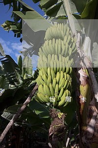 信用卡逾期会被银行拉黑名单